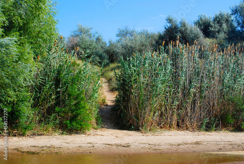 The path to the river