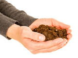 Male hands holding soil substrate