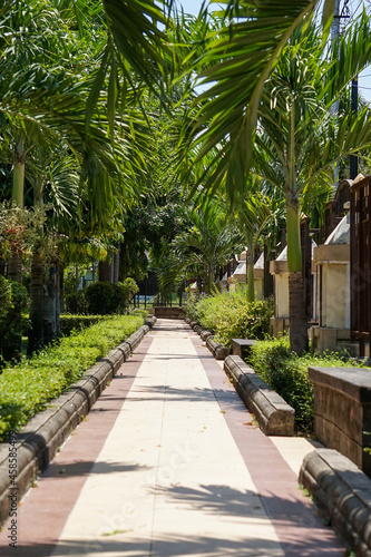 a well-maintained park with pavement for pedestrians. an outdoor place in an urban area. the green area of the city.