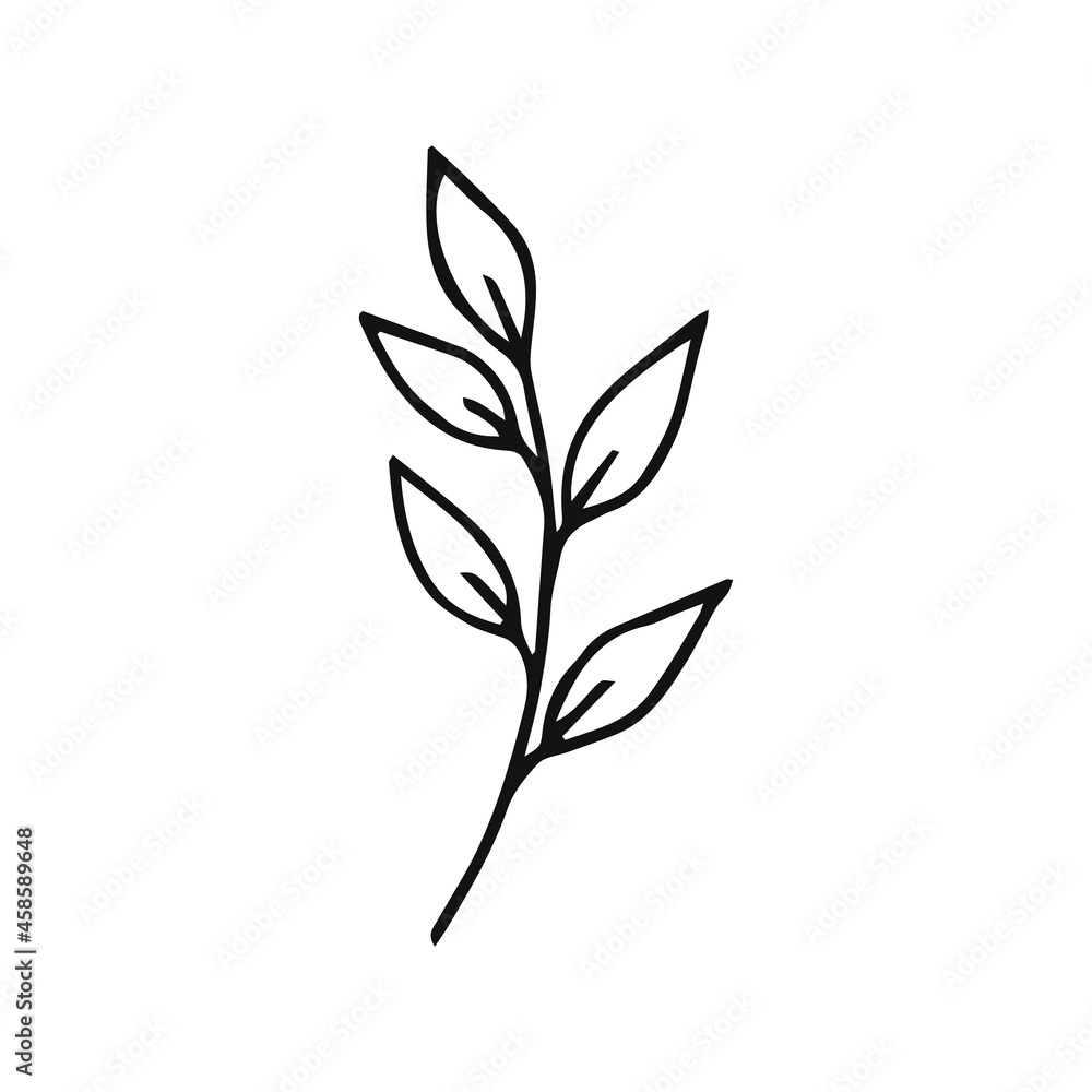 Hand drawn plants outline. Floral and leave element. Line art style isolated on white background. Hand drawn plants outline. Floral and leave element. Line art style isolated on white background.