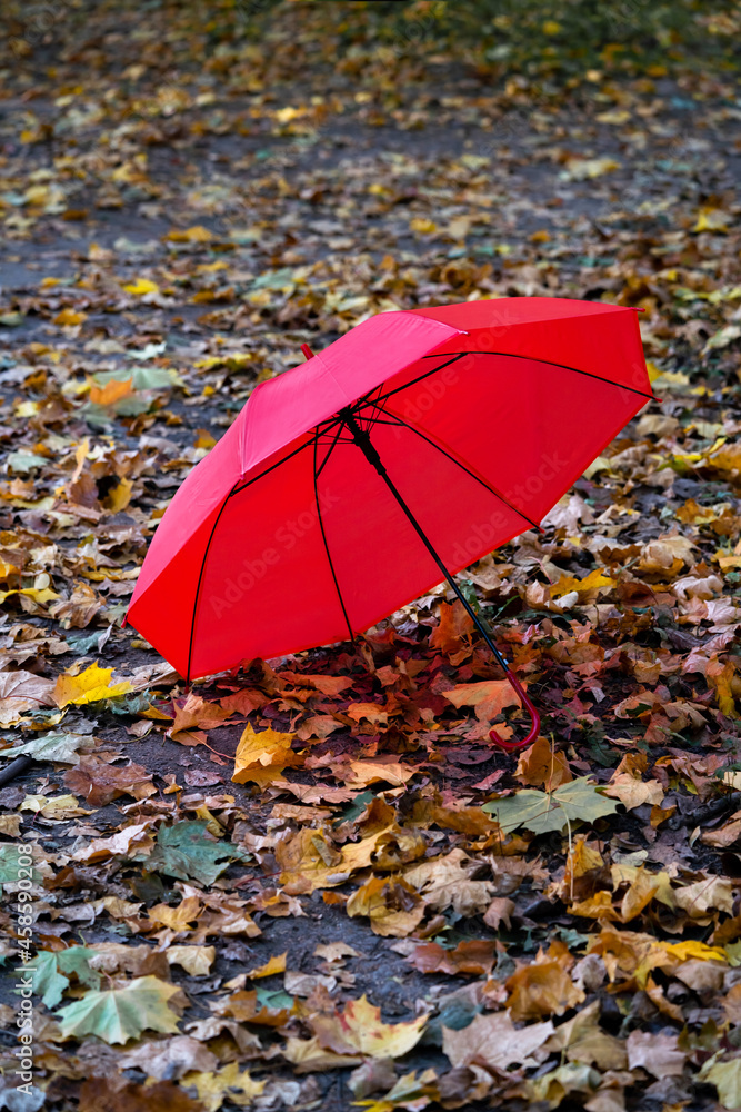 in the park there is an open forgotten red umbrella, the season is autumn.