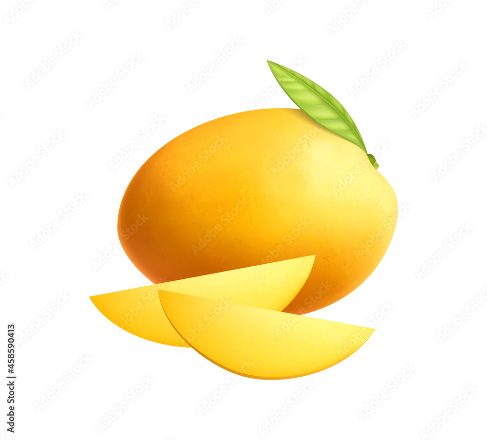 Mango Realistic Illustration