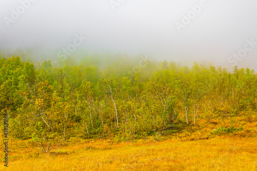 Birch trees mountains and cloudy foggy nature landscape Hovden Norway. photo