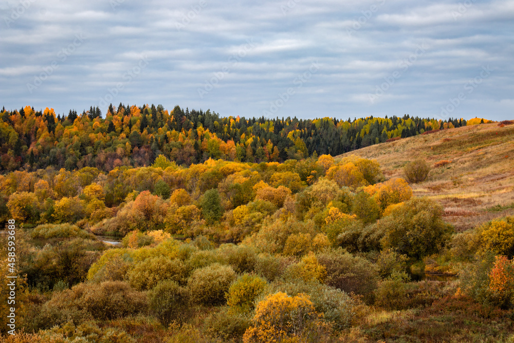 View of the hill overgrown with forest with autumn color of leaves.