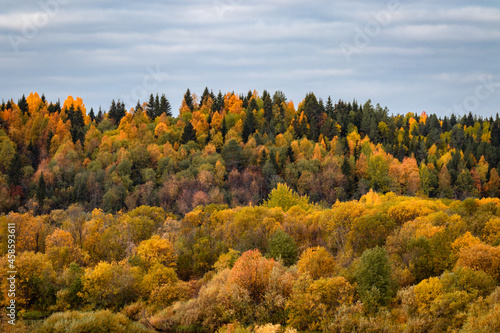 View of the hill overgrown with forest with autumn color of leaves. photo