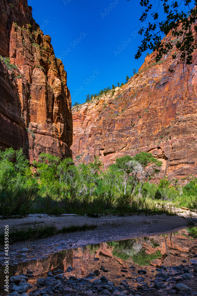 Virgin River Valley in Zion National Park at Sunset Virgin River Valley in Zion National Park at Sunset