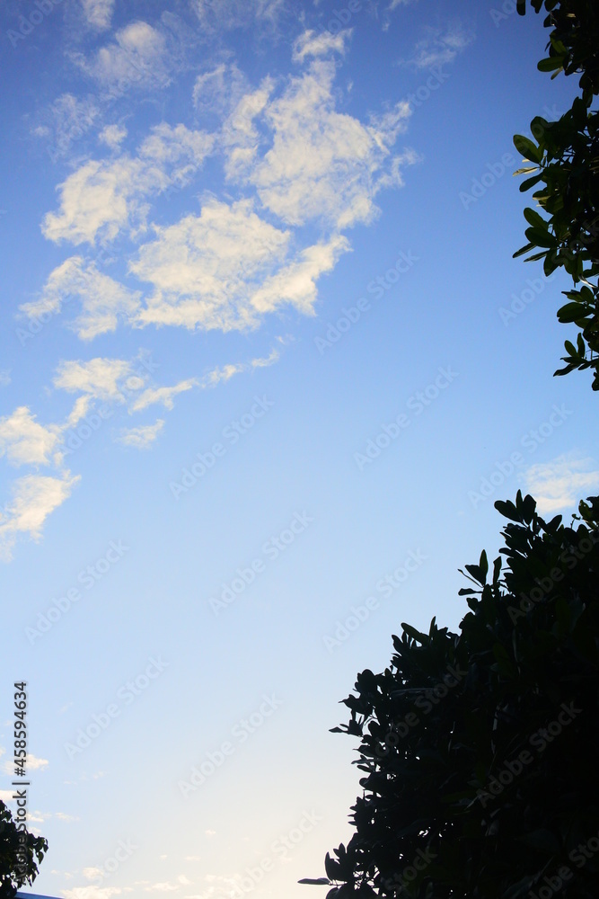 Obraz premium sky and clouds