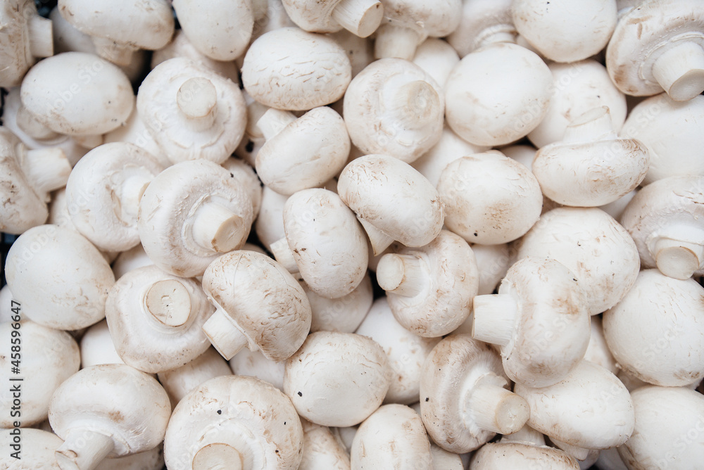 Ripe fresh mushrooms in a box in the warehouse after assembling a close-up. Ripe fresh mushrooms in a box in the warehouse after assembling a close-up.