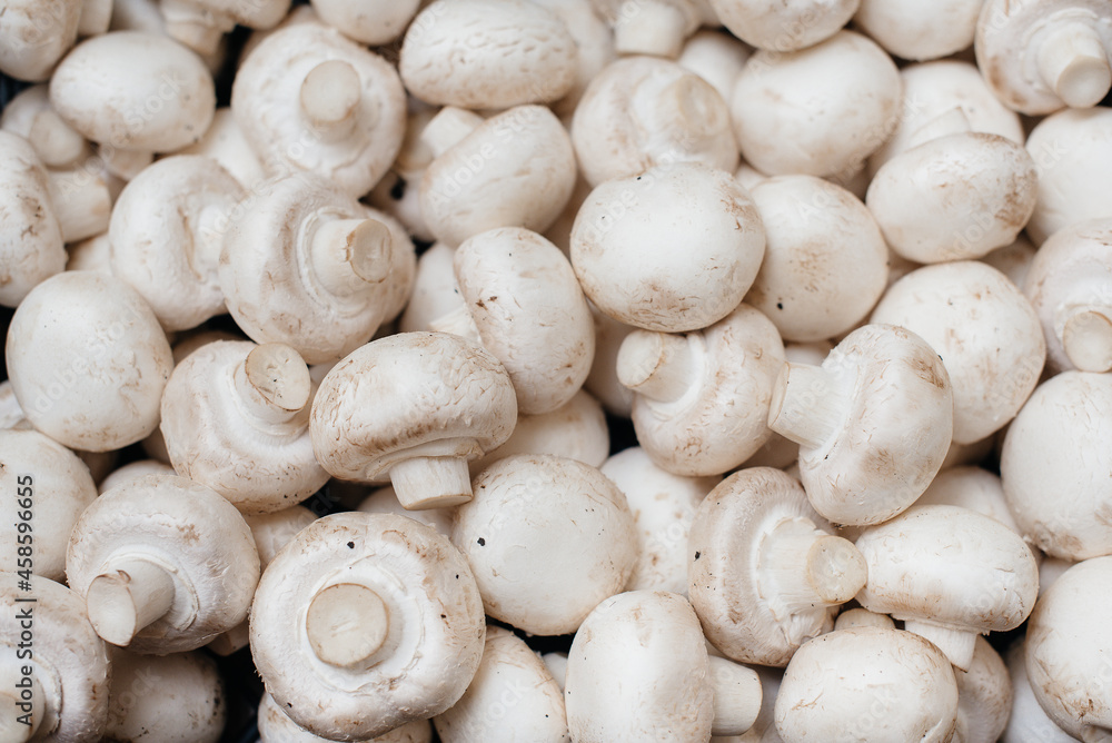 Ripe fresh mushrooms in a box in the warehouse after assembling a close-up. Ripe fresh mushrooms in a box in the warehouse after assembling a close-up.