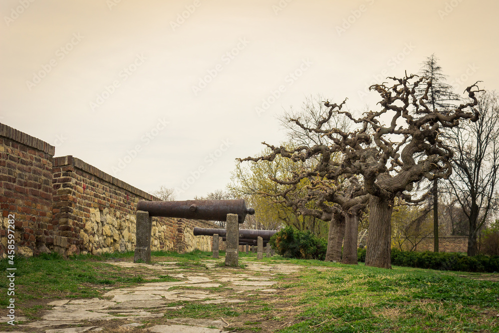 Low perspective view of showcase of ancient, rusty cannons on Kalemegdan fortress in Belgrade and scenic, curvy trees Low perspective view of showcase of ancient, rusty cannons on Kalemegdan fortress in Belgrade and scenic, curvy trees