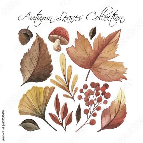 watercolor style autumn leaves collection vector design illustration