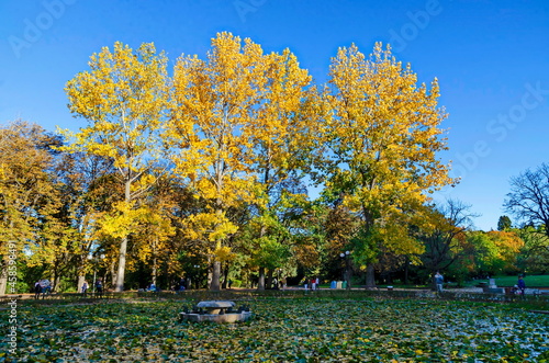 Beautiful corner of autumn colorful forest and the lake of lilies in Borisova gradina, Sofia, Bulgaria   © vili45