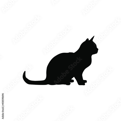 Cat icon vector. pet illustration sign. tomcat symbol. animal logo. © Denys