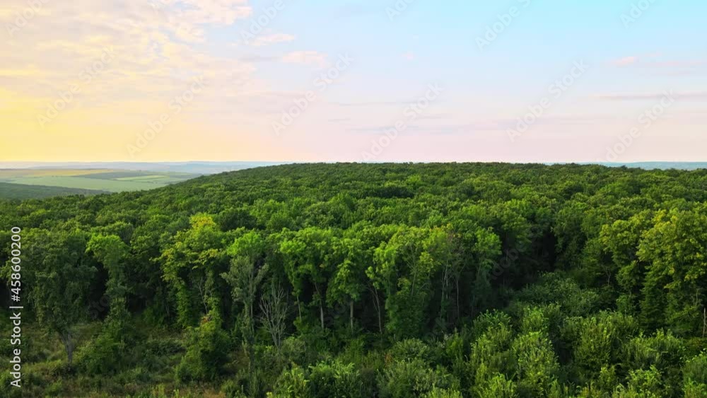 Aerial drone view of nature in Moldova at sunset. Lush forest, wide fields and hills Aerial drone view of nature in Moldova at sunset. Lush forest, wide fields and hills