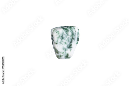 Fényképezés Close-up tree agate stone isolated on a white background.