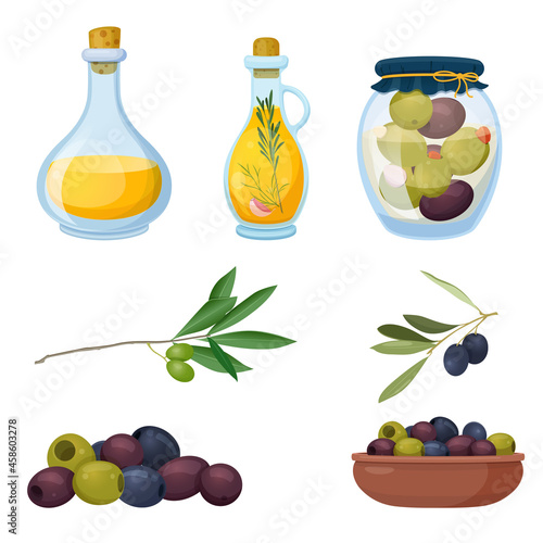 Black, pink and green olives, oil in glass bottles and olive tree branches. Olive organic products for cooking. Vector illustration