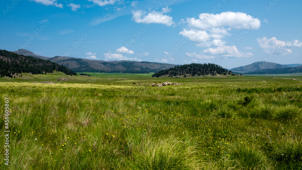 Sweeping remote grasslands of the Valles Caldera New Mexico