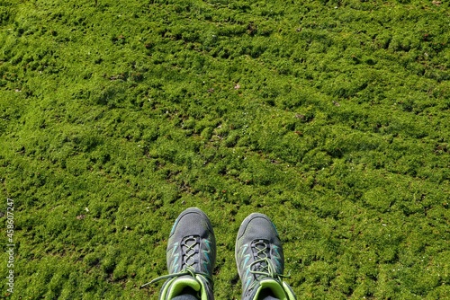 Hiking shoes in front of green grass