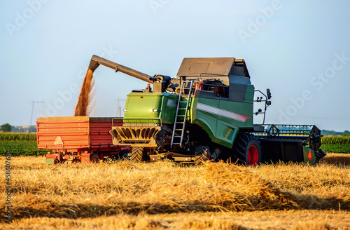 Harvesting campaign. Combine and tractor in the wheat field during the harvest. Agricultural concept