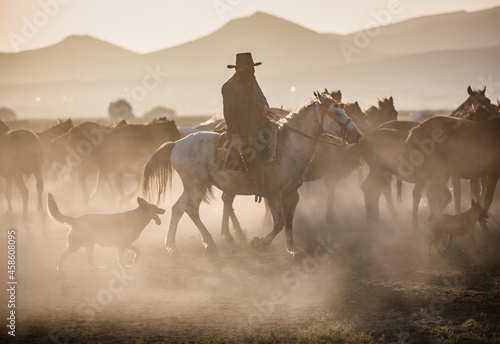Fototapeta Naklejka Na Ścianę i Meble -  cowboy riding horse