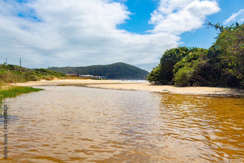rio amarelado e a Praia Brava Florianopolis Santa Catarina Brasil Florianópolis