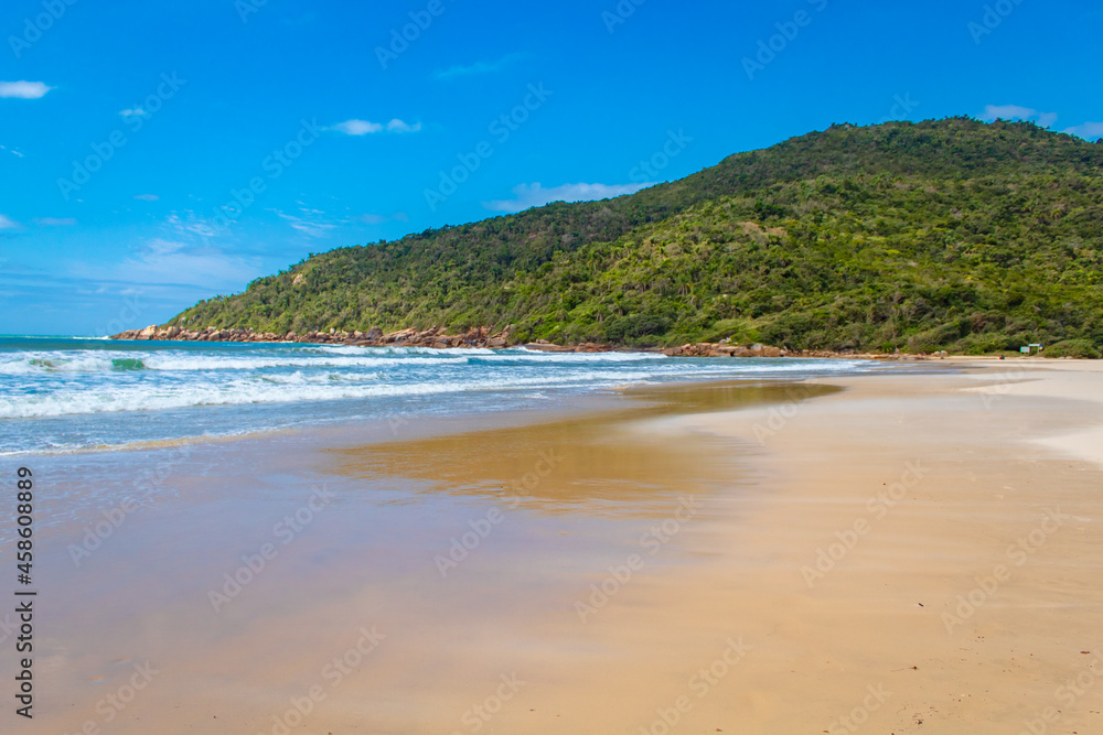   areia fina da  Praia Brava Florianopolis Santa Catarina Brasil Florianópolis