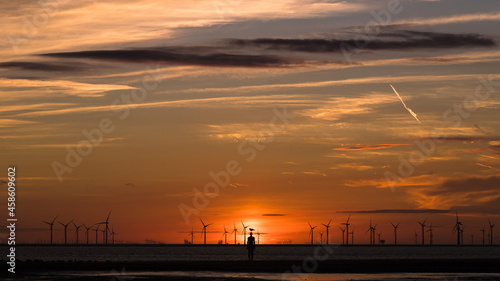 Silhouette of a sea gull on an Iron Man