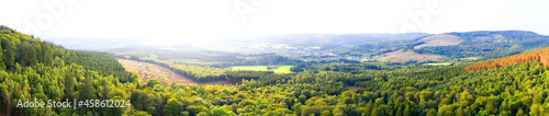 Fototapeta Naklejka Na Ścianę i Meble -  a green bright forest landsacpe panorama background