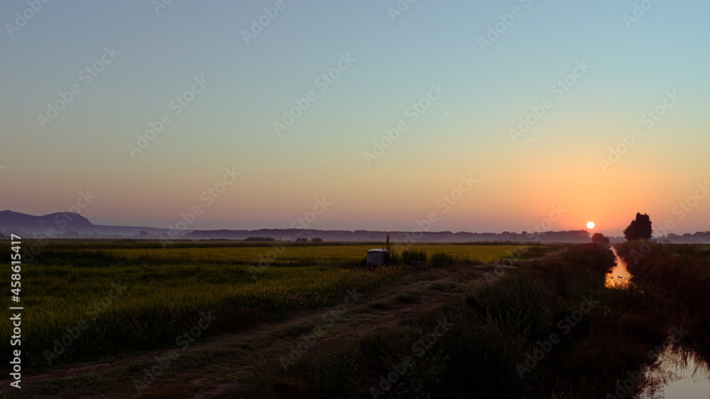 Fototapeta premium Sun rising on a green rice field landscape with stream water on a plain landscape