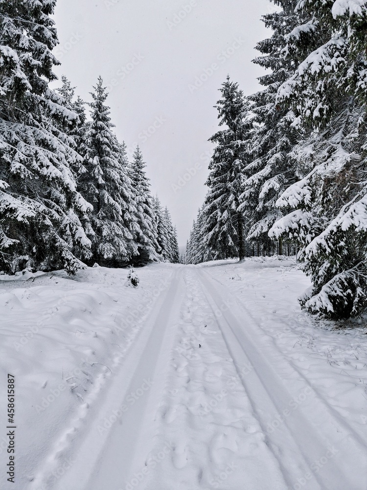 Obraz premium snow covered road