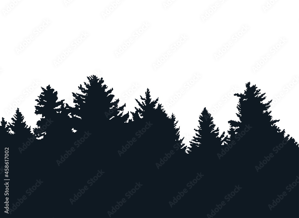 Obraz premium Background with evergreen forest silhouettes