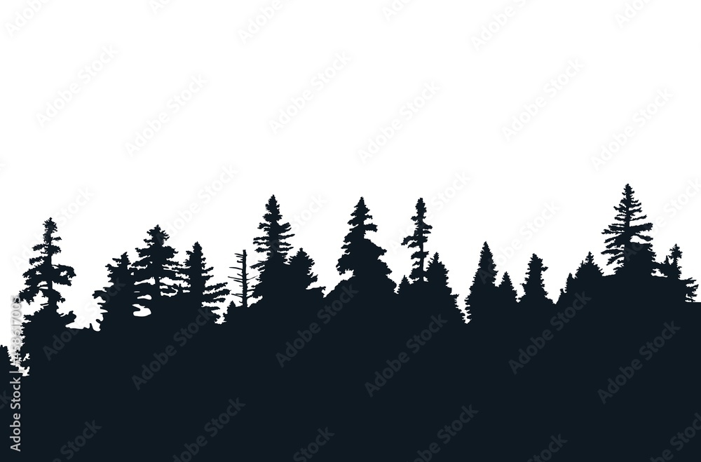 Background with evergreen forest silhouettes - obrazy, fototapety, plakaty 