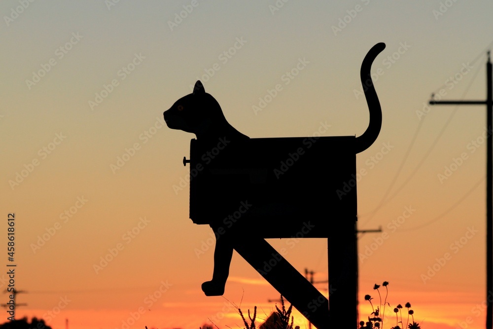 A Cat Country Mailbox silhouette at Sunset with a colorful sky west of Hutchinson Kansas USA out in the country.