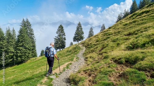 A senior tourist with backpack and walking poles on a trekking with sticks in the mountains, on a rocky path, on a sunny day. Slope, green grass, a few green trees.