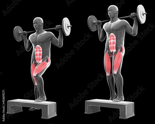 3d Illustration of Dumbbell Step Up