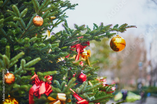 Fototapeta Naklejka Na Ścianę i Meble -  Christmas trees decorated with yellow and red bows and baubles in Paris