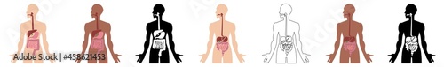 Digestive System Illustration Digestive Health Set | Digestive Tract Illustration Vector Logo | Digestive Anatomy Human Body Icon Isolated Collection