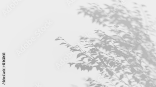 Leafs shadow on wall. Leaves tree branch with shade and sunlight. 3D rendering Abstract nature concept background. Space for text. Blurred  defocused