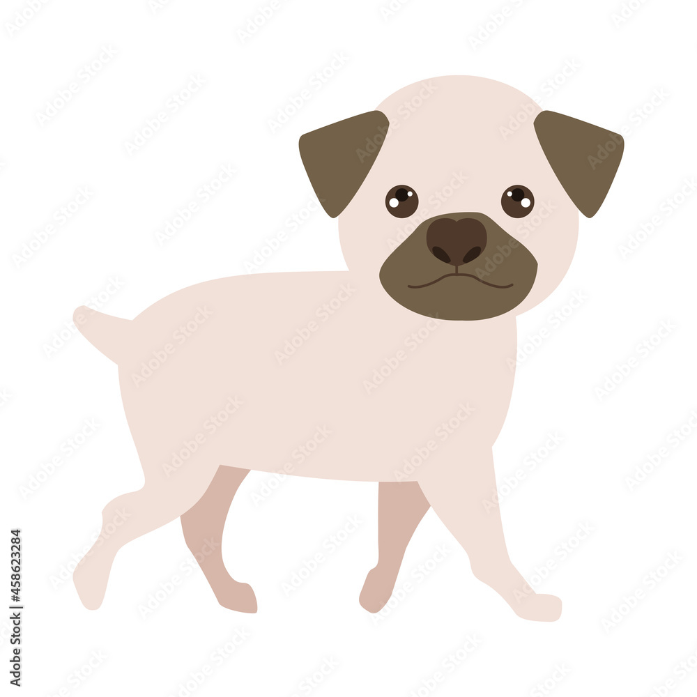 Fototapeta premium pug pet character