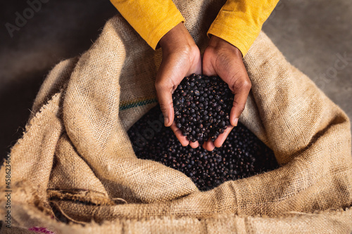 Close up view of hands holding juniper berries in sack at gin distillery photo