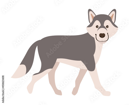 siberian husky pet character