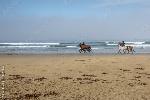 Horses and Their Riders Exercising on a Cloudy Beach Day in Morro Bay, California, with the Waves Crashing Behind Them