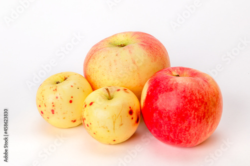 red and yellow apples on a white background