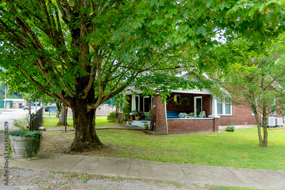 Big Tree & House Big Tree & House