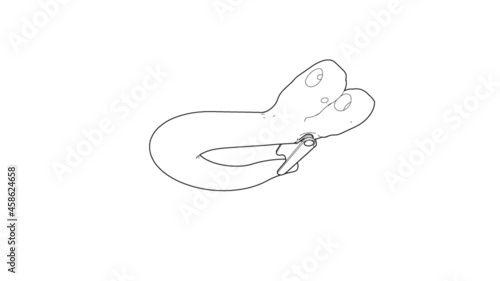 Forged Hook Illustration