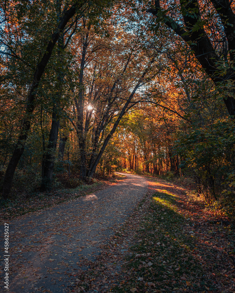 Fototapeta premium Autumn leaf colors on path Sunset