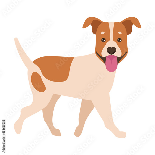 jack russel pet character