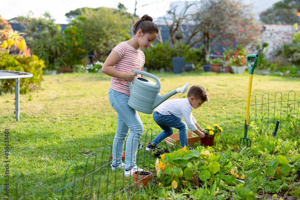 Happy caucasian sister and brother watering plants together Happy caucasian sister and brother watering plants together