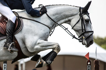 Horse Jumping, Equestrian Sports, Show Jumping themed photo.