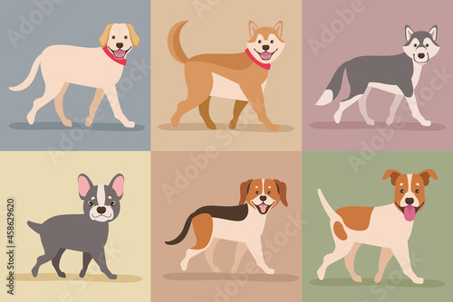 six dogs mascots